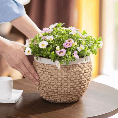 Woven Rattan Cement Planter