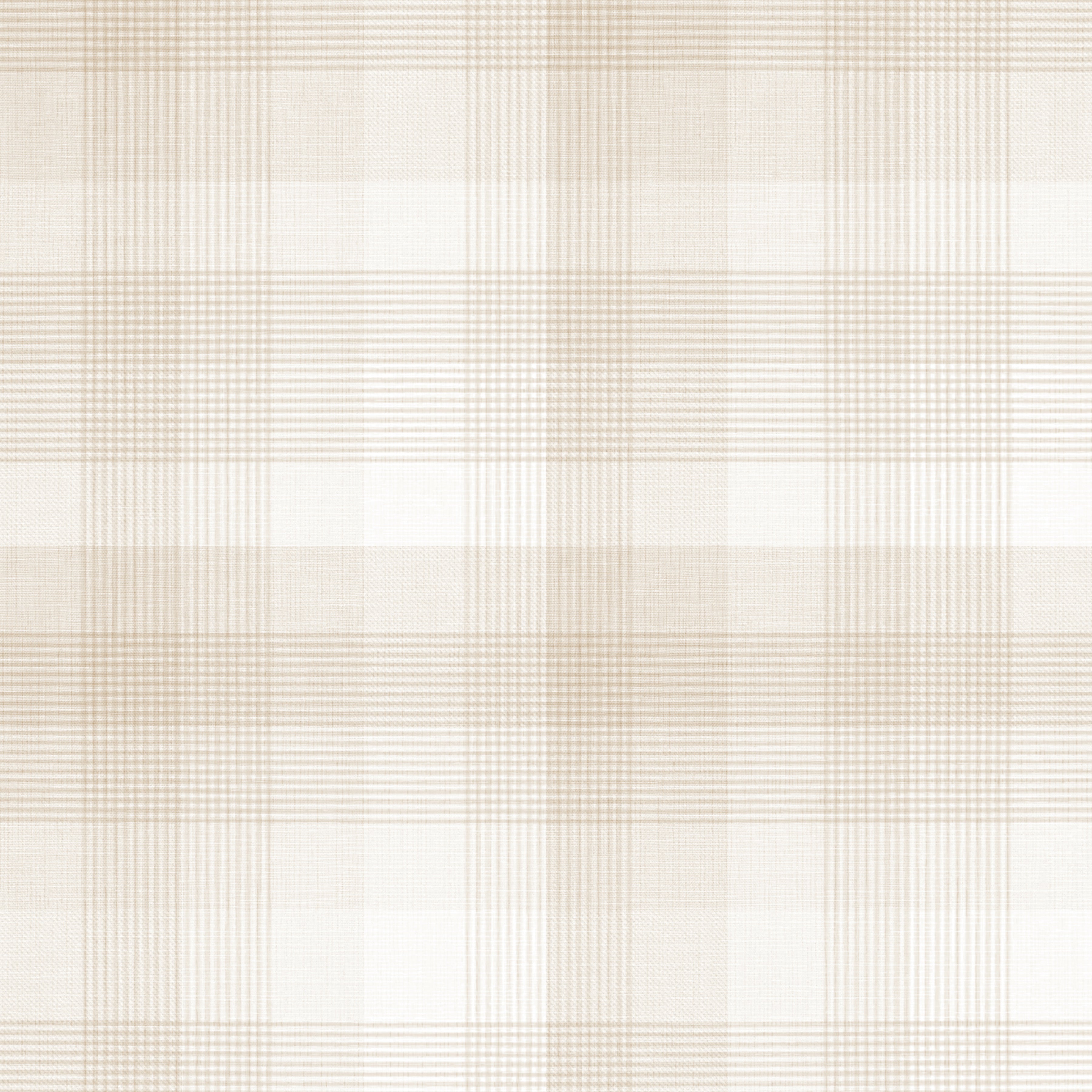 Mack Wallpaper by Aynsley Ovard x Bloomery Decor