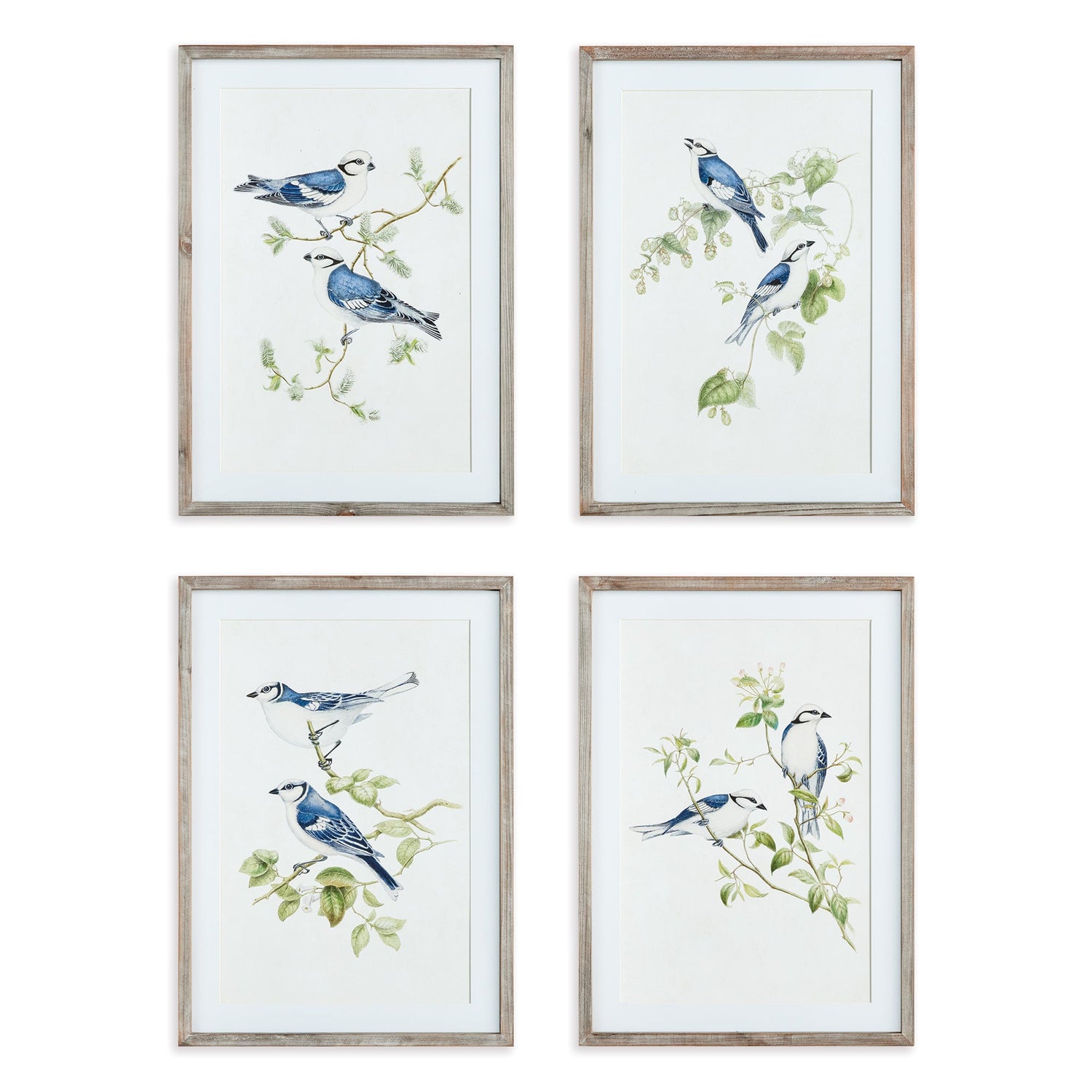 BLUE BIRDS PRINTS, SET OF 4
