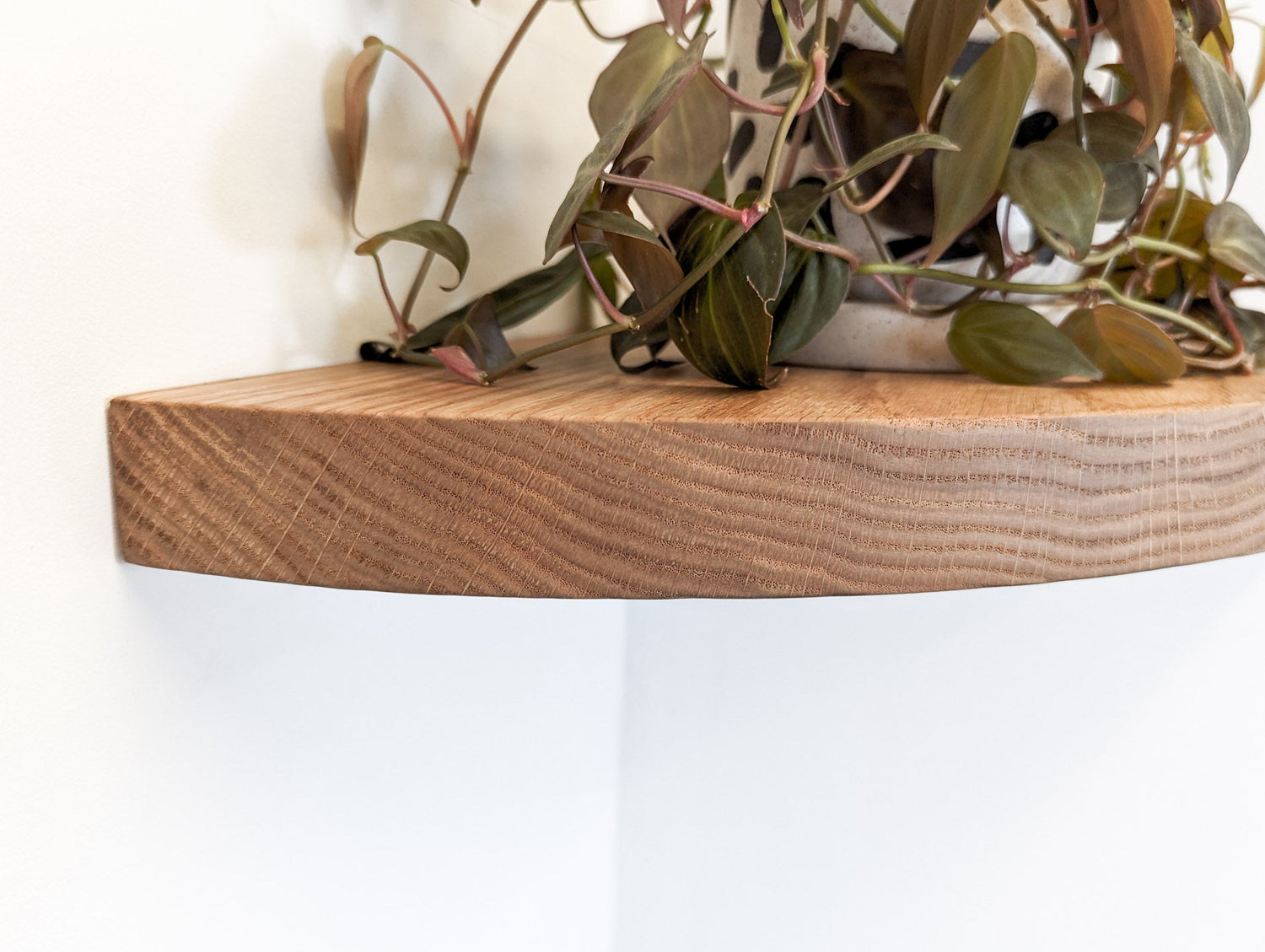 Floating Corner Shelf with Round Edge in Oak