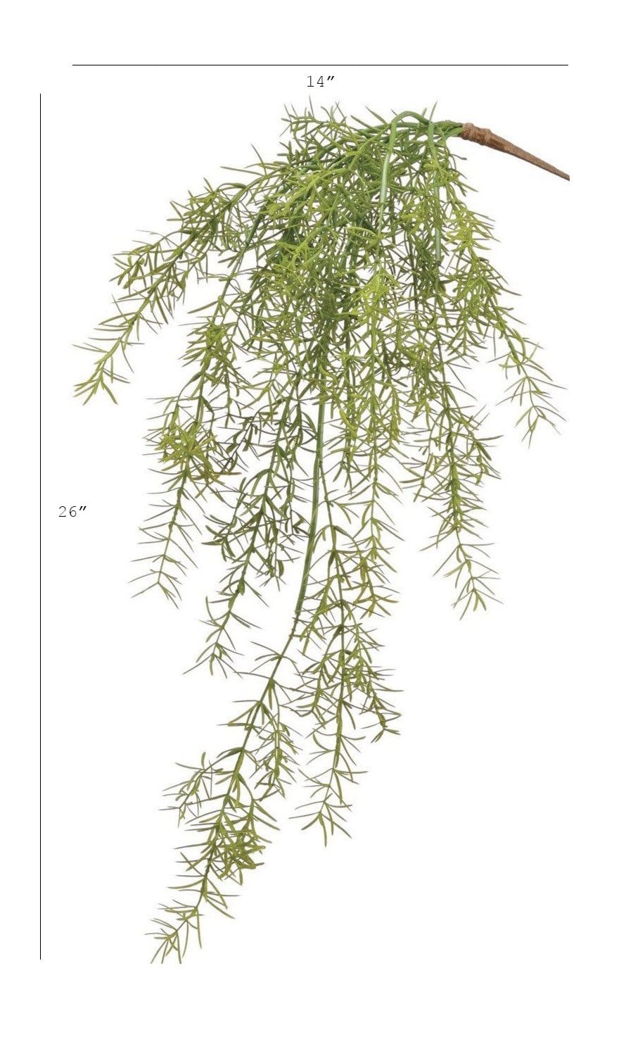 26" Faux Soft Asparagus Fern Sprengeri Bush