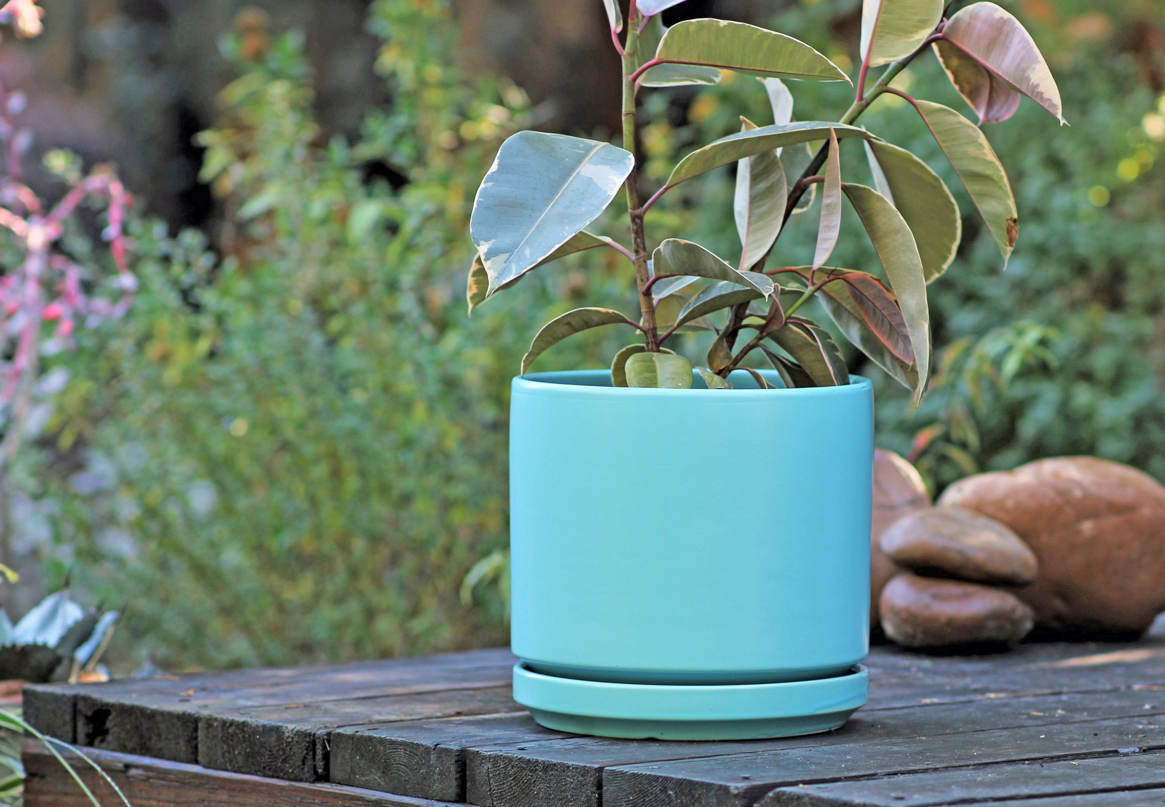 Mid Modern Planter With Detached Saucer "10.0" D x 9.0" H" By Plantatorem