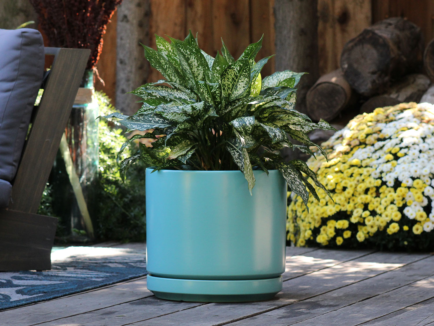 Mid Modern Planter With Detached Saucer "14.0" D x 12.0" H" By Plantatorem