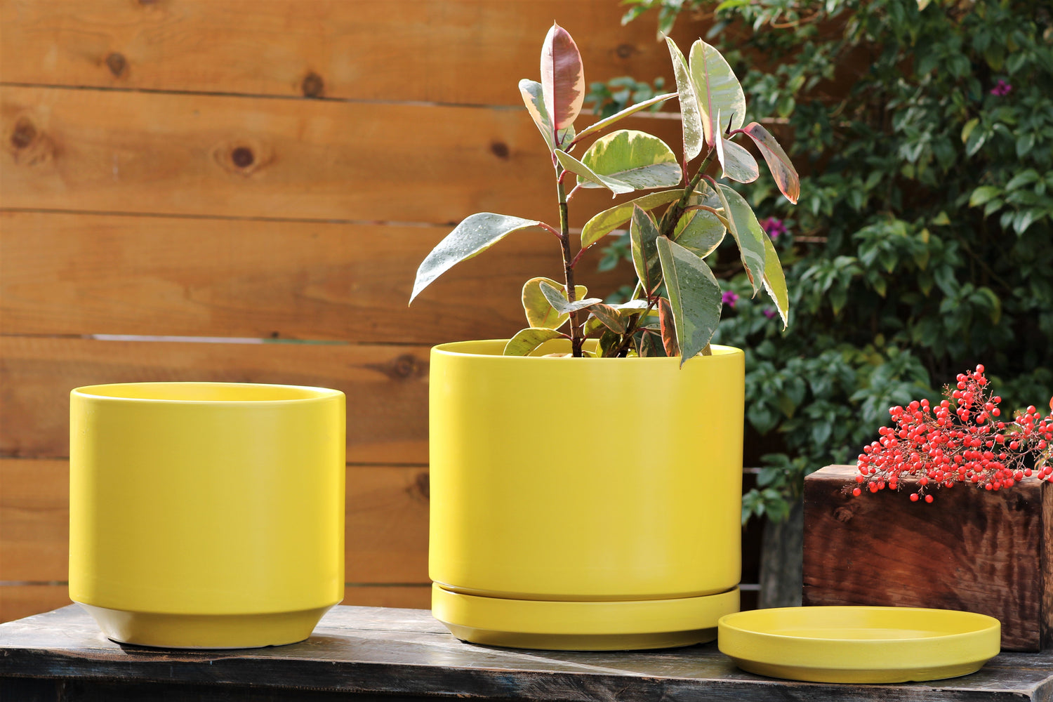 Mid Modern Planter With Detached Saucer "10.0" D x 9.0" H" By Plantatorem
