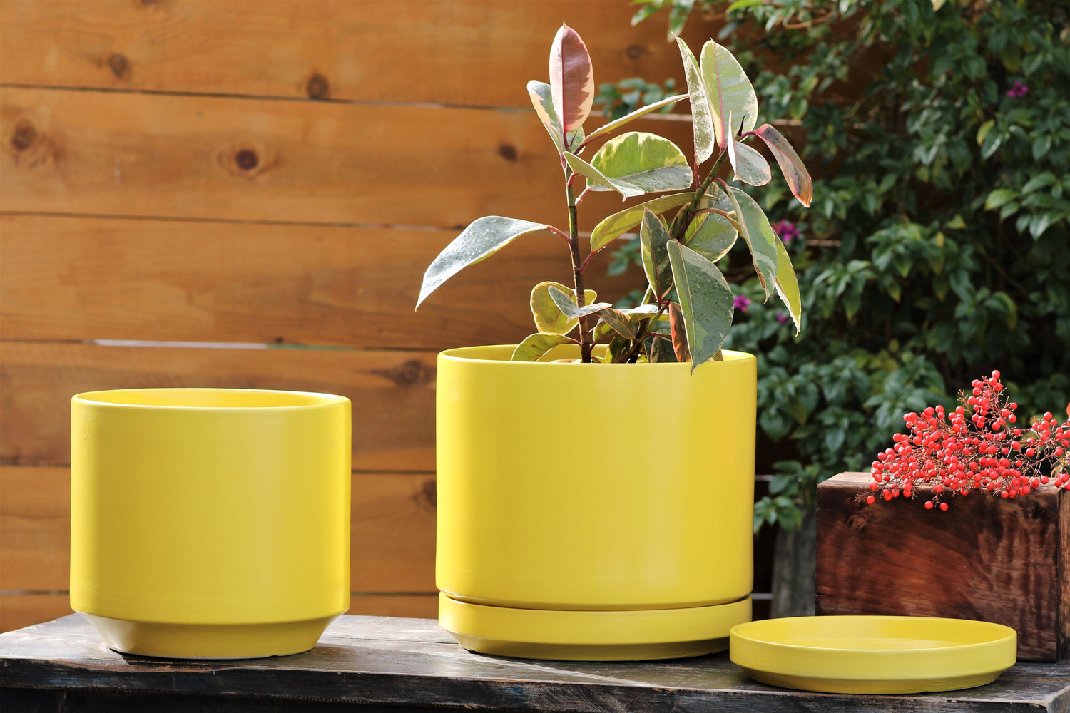 Mid Modern Planter With Detached Saucer "14.0" D x 12.0" H" By Plantatorem