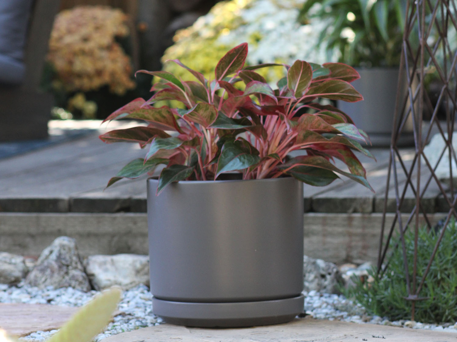 Mid Modern Planter With Detached Saucer "14.0" D x 12.0" H" By Plantatorem