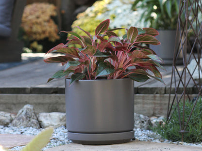 Mid Modern Planter With Detached Saucer "14.0" D x 12.0" H" By Plantatorem