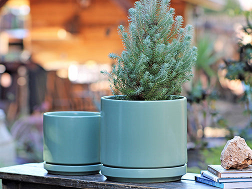 Mid Modern Planter With Detached Saucer "14.0" D x 12.0" H" By Plantatorem