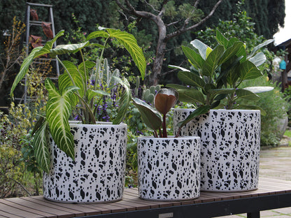 Easter Lilly Planter By Plantatorem