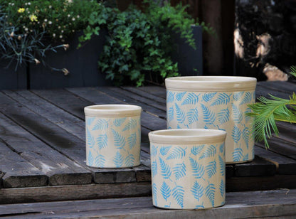 Fern Planters By Plantatorem