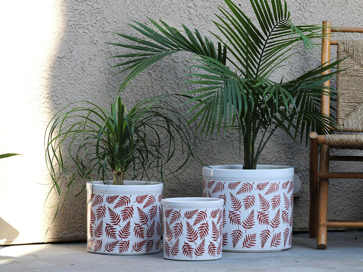Fern Planters By Plantatorem