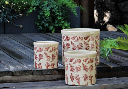 Fern Planters By Plantatorem