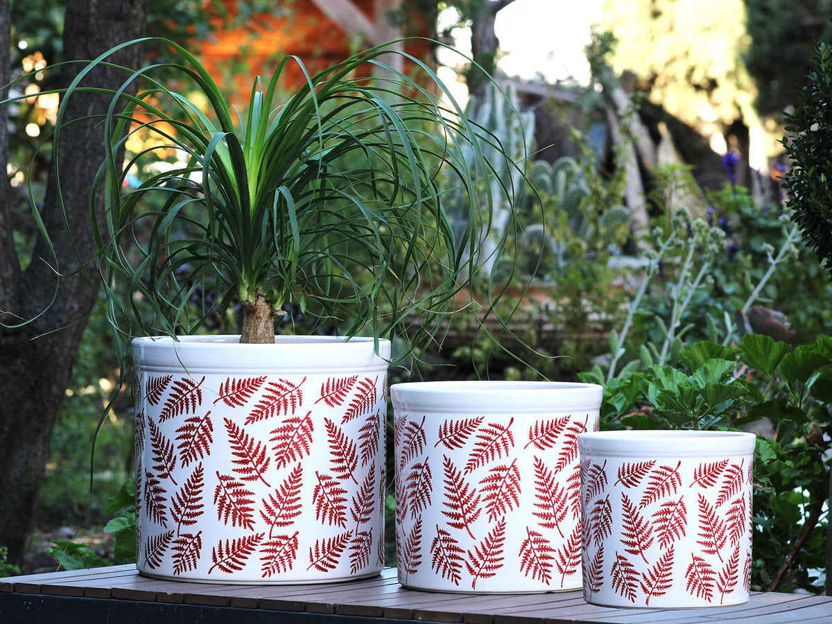 Fern Planters By Plantatorem