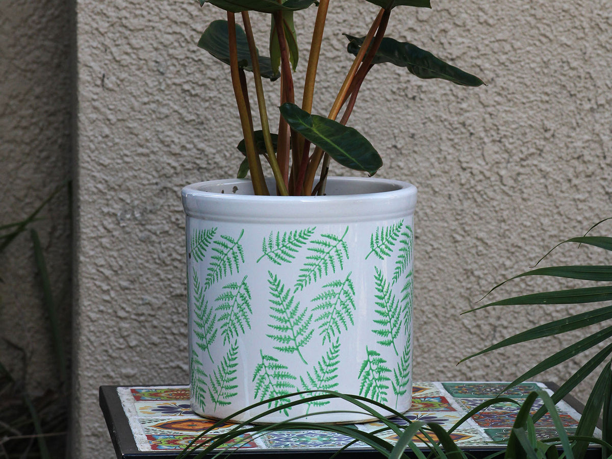Fern Planters By Plantatorem