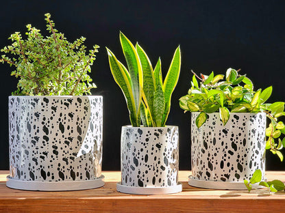 Easter Lilly Planter By Plantatorem