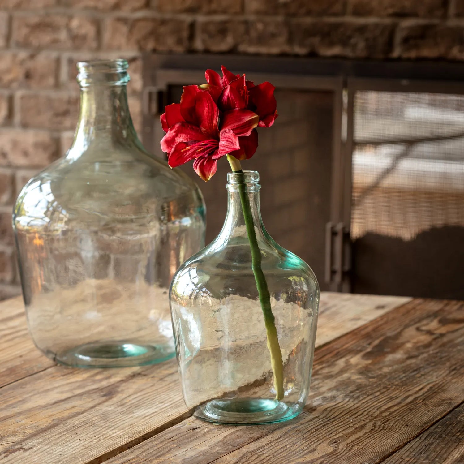 Grand Amaryllis Red Stem