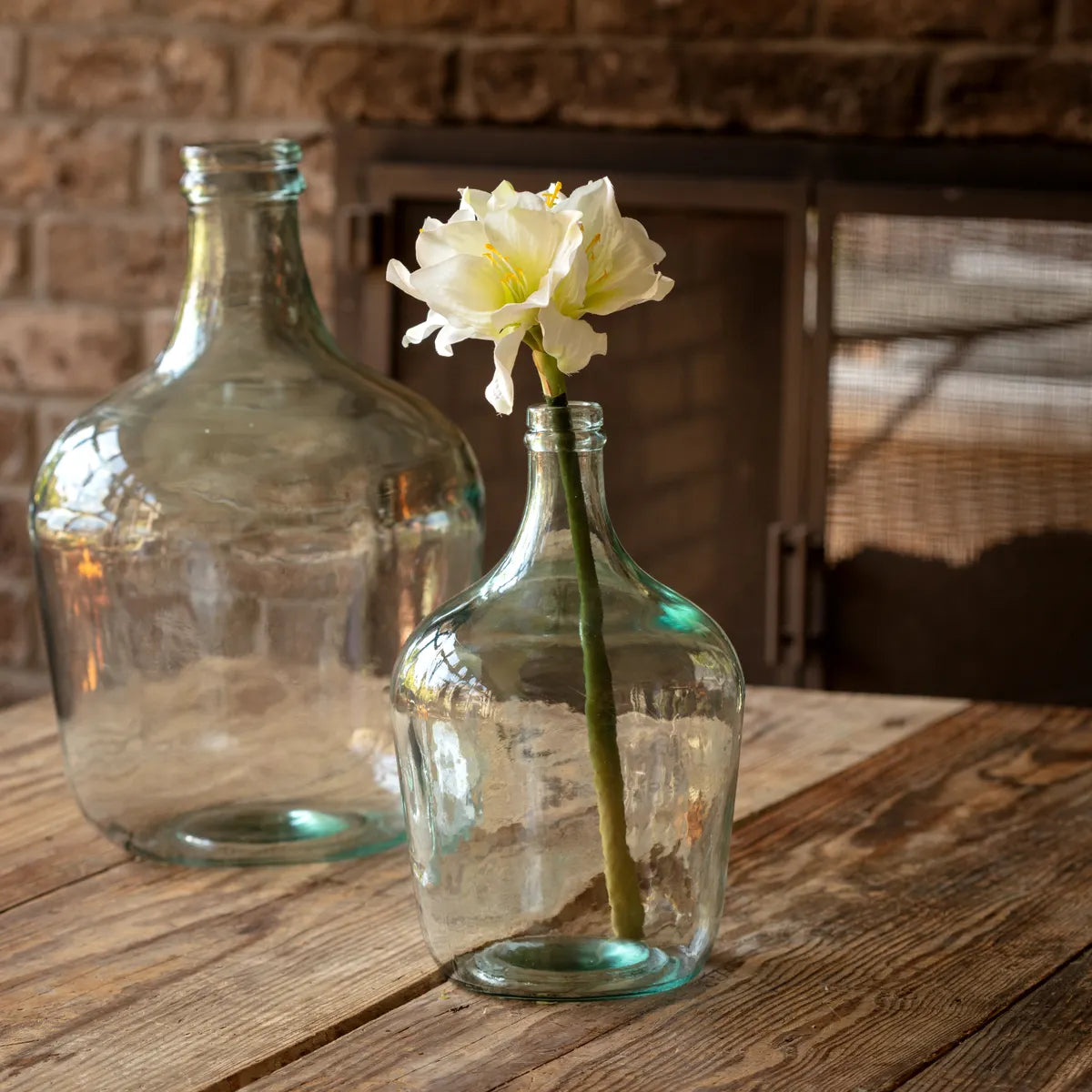 Grand Amaryllis White Stem