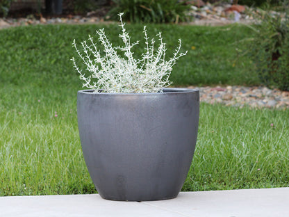 Coco Pots Glazed - Set of 4 By Plantatorem