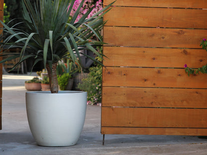 Coco Pots Glazed - Set of 4 By Plantatorem