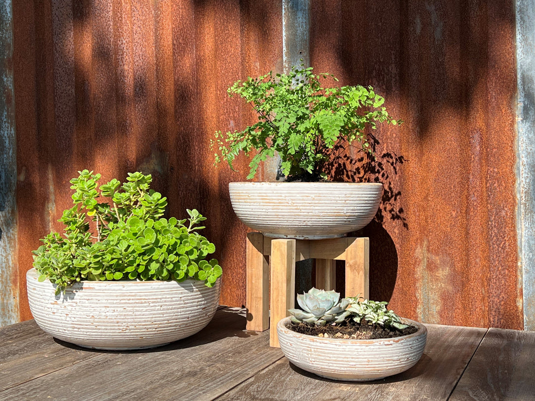 Handthrown Bowl