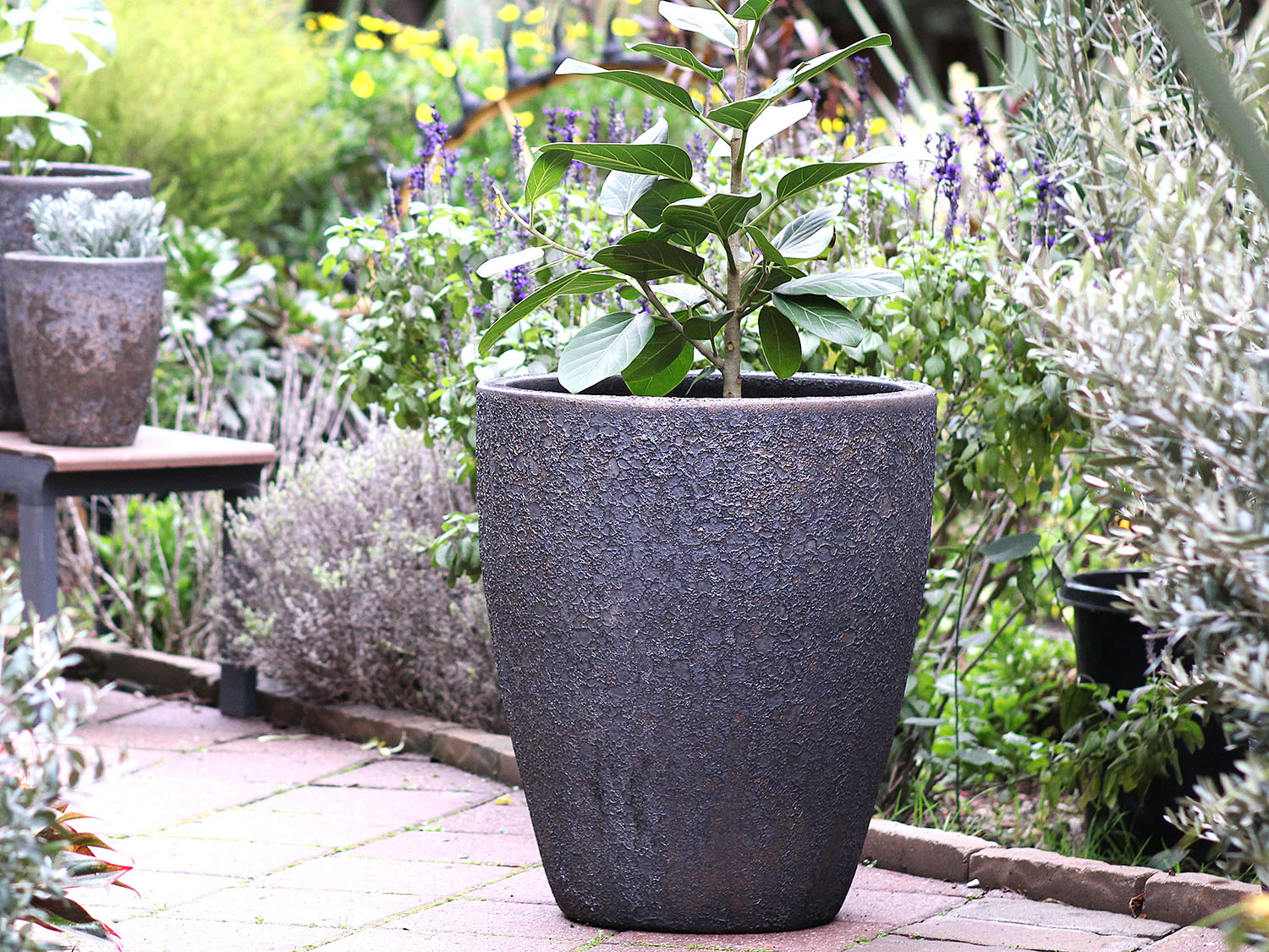 Cone Planter - Set of 3 (Silver Rock) By Plantatorem