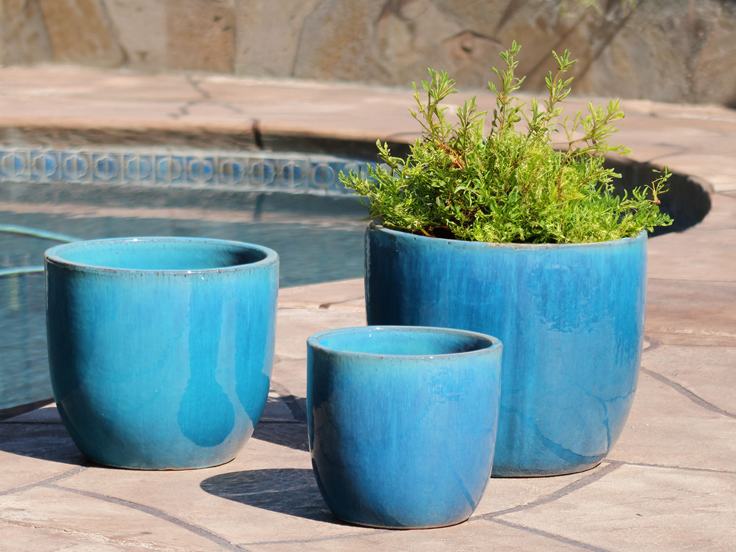 Egg Shell Pots - Sets of 3 By Plantatorem
