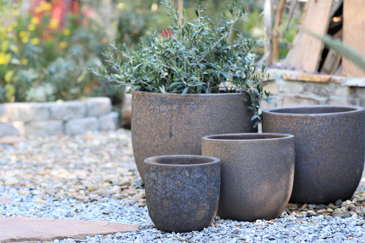 Egg Shell Pots - Set of 4 (Silver Rock) By Plantatorem