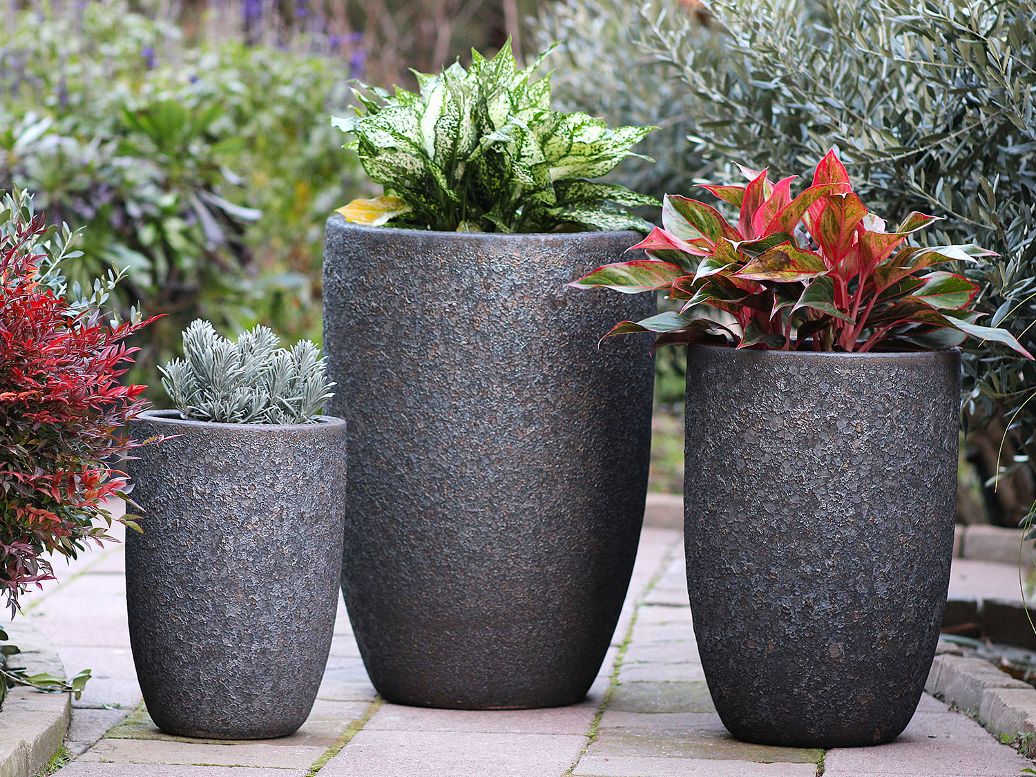 Mid Height Barrel Planter - Set of 3 By Plantatorem