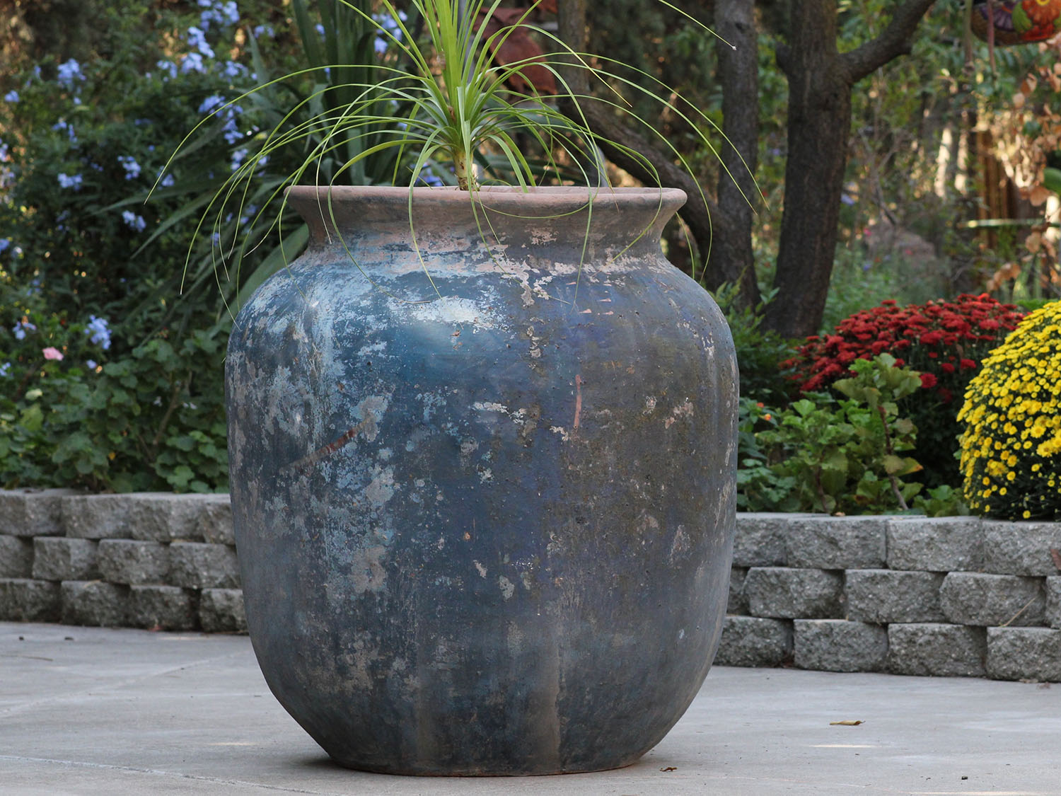 Mediterranean Cantaro By Plantatorem