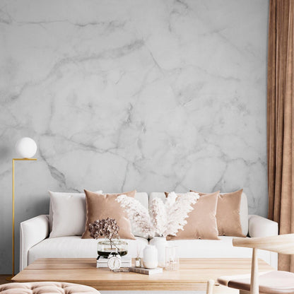 Petra Wallpaper - 10 FT H X 31.6 FT W LUXE