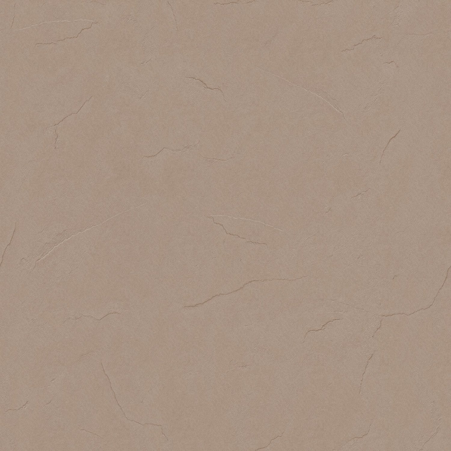 Plaster (Taupe) Wallpaper