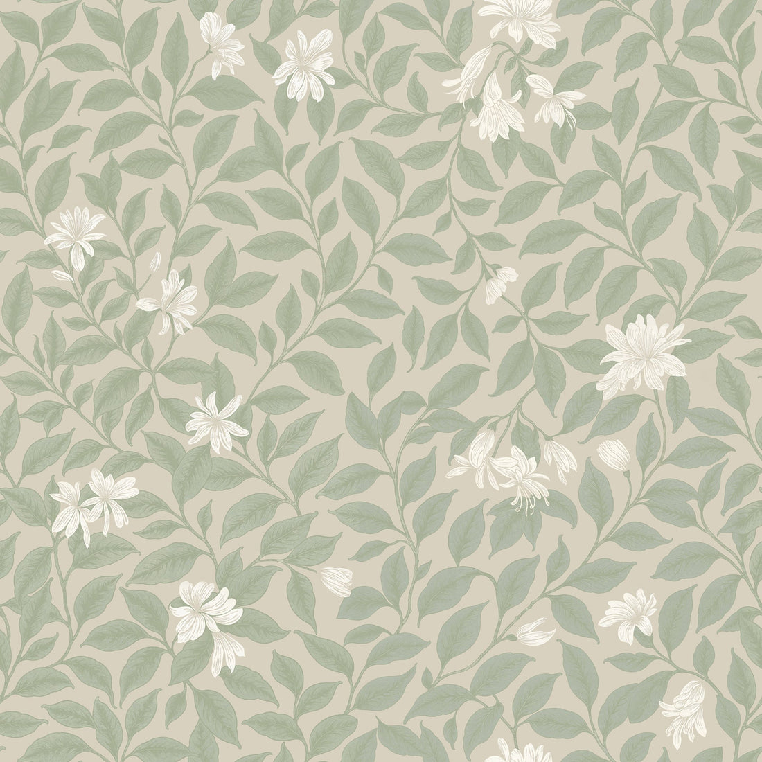 Poppy Honeysuckle Large (Cream) Wallpaper