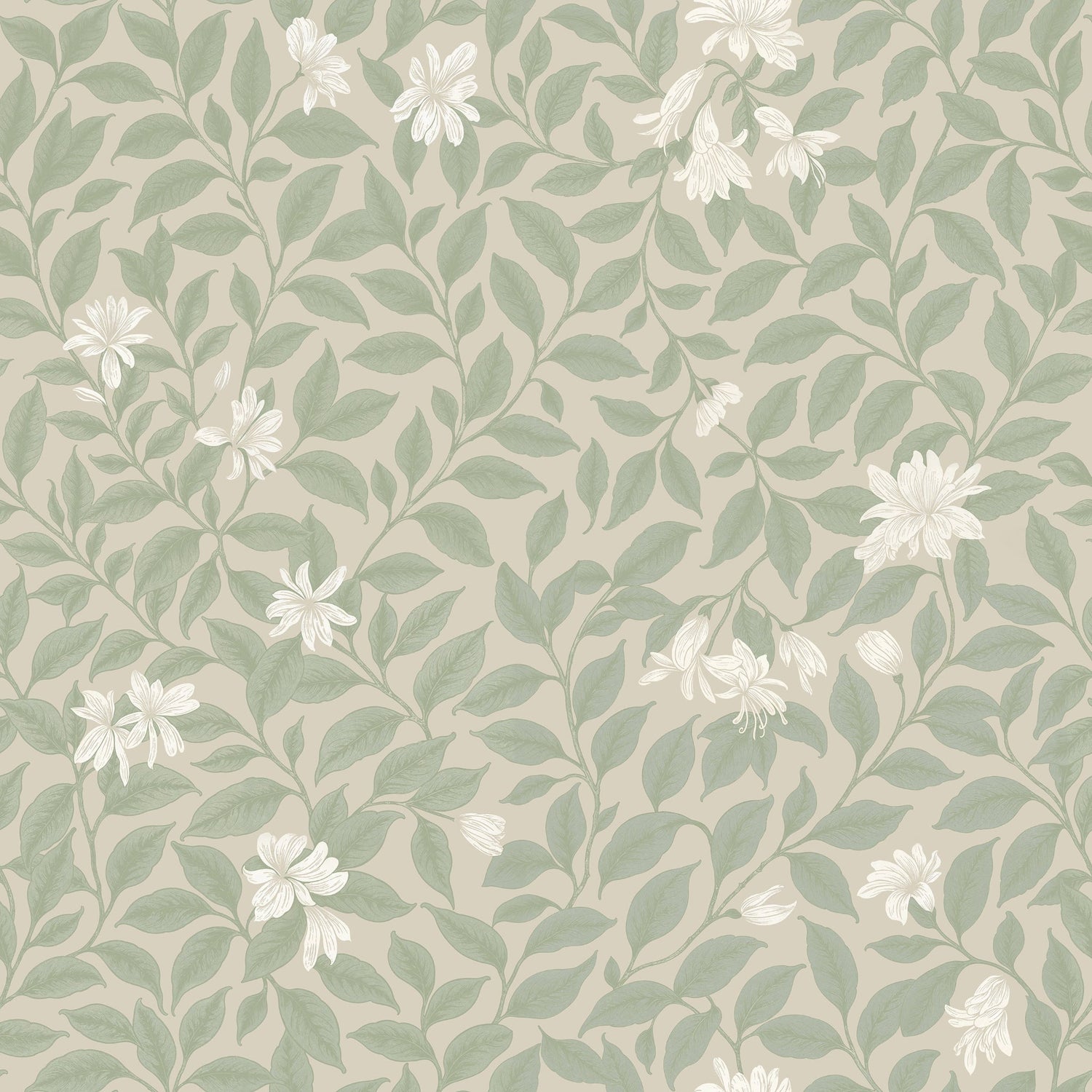 Poppy Honeysuckle Large (Cream) Wallpaper