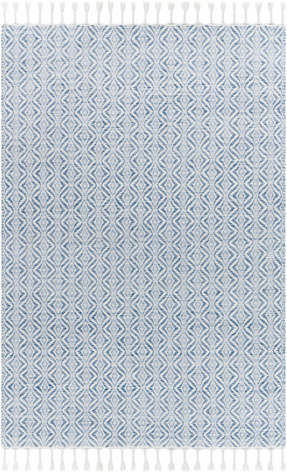 Anelia Sky Blue Area Rug - Clearance