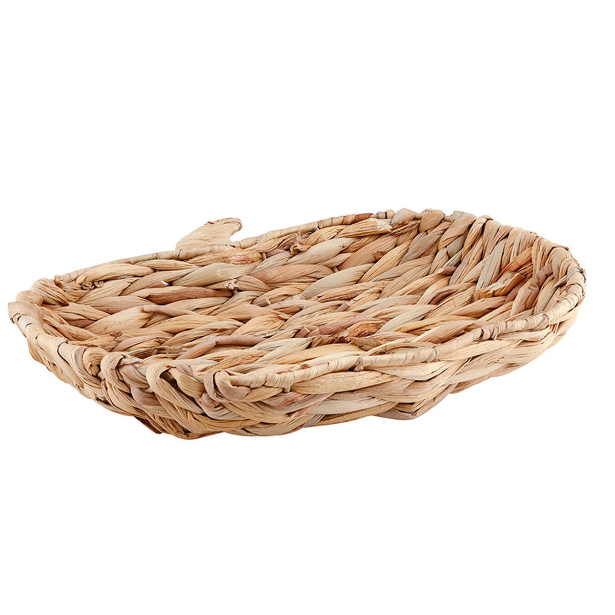 Hyacinth Pumpkin Tray