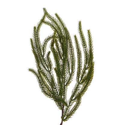 Green Norfolk Garlands