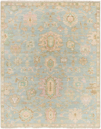 Blue Amiri Area Rug - Clearance