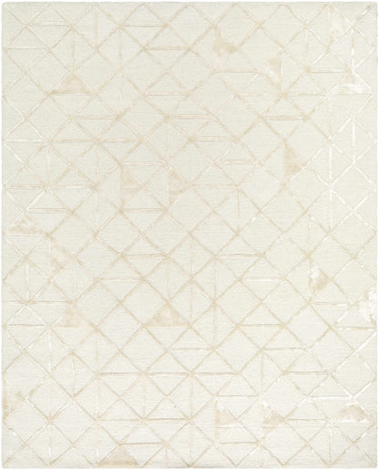 Jevau Beige Geometric Hand Tufted Wool Area Rug - Clearance