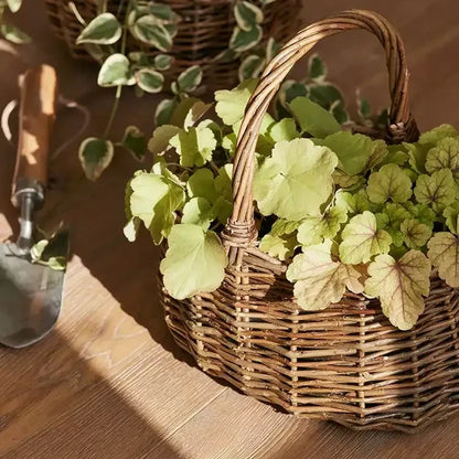 Cottage Harvest Basket