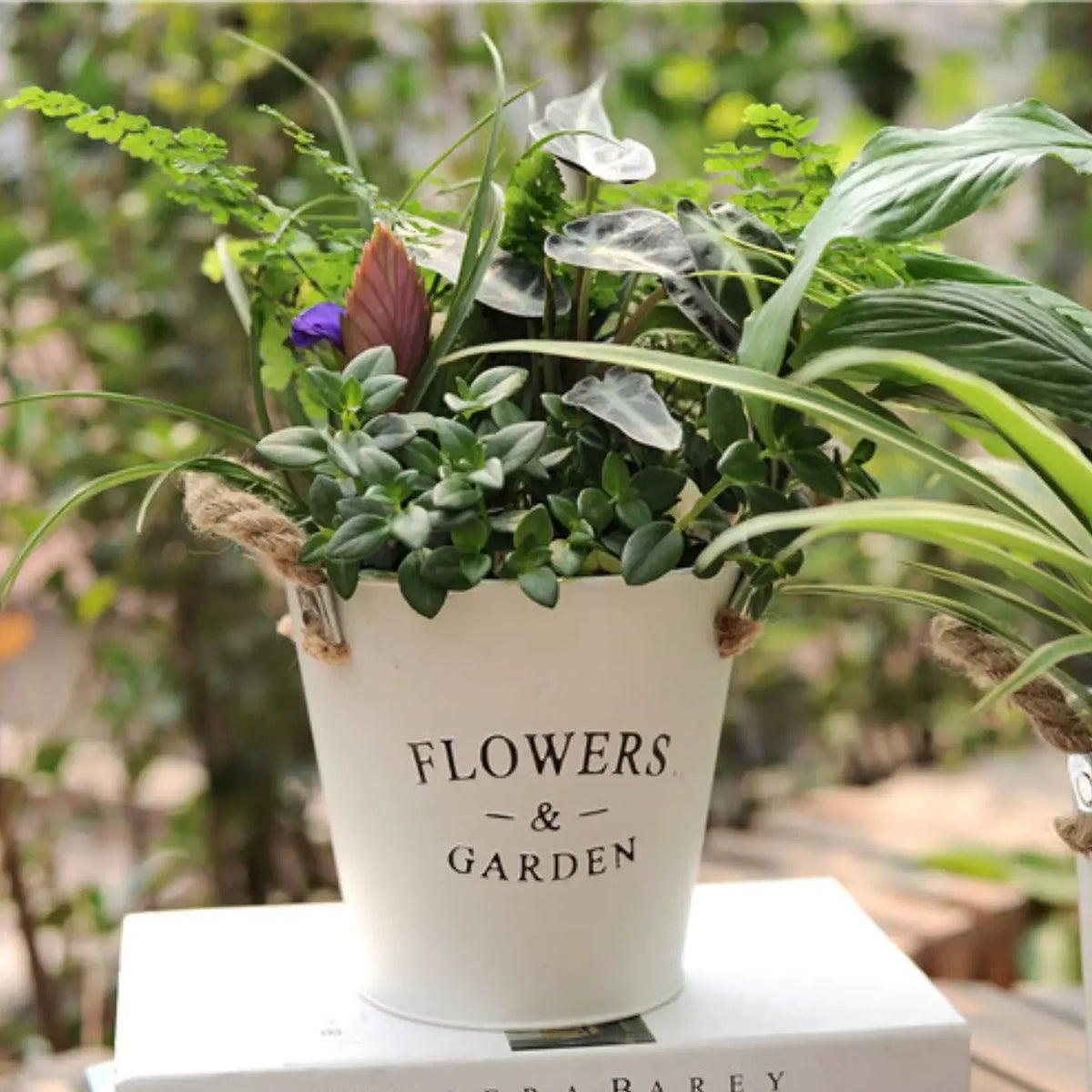 Farmhouse Metal Flower Bucket