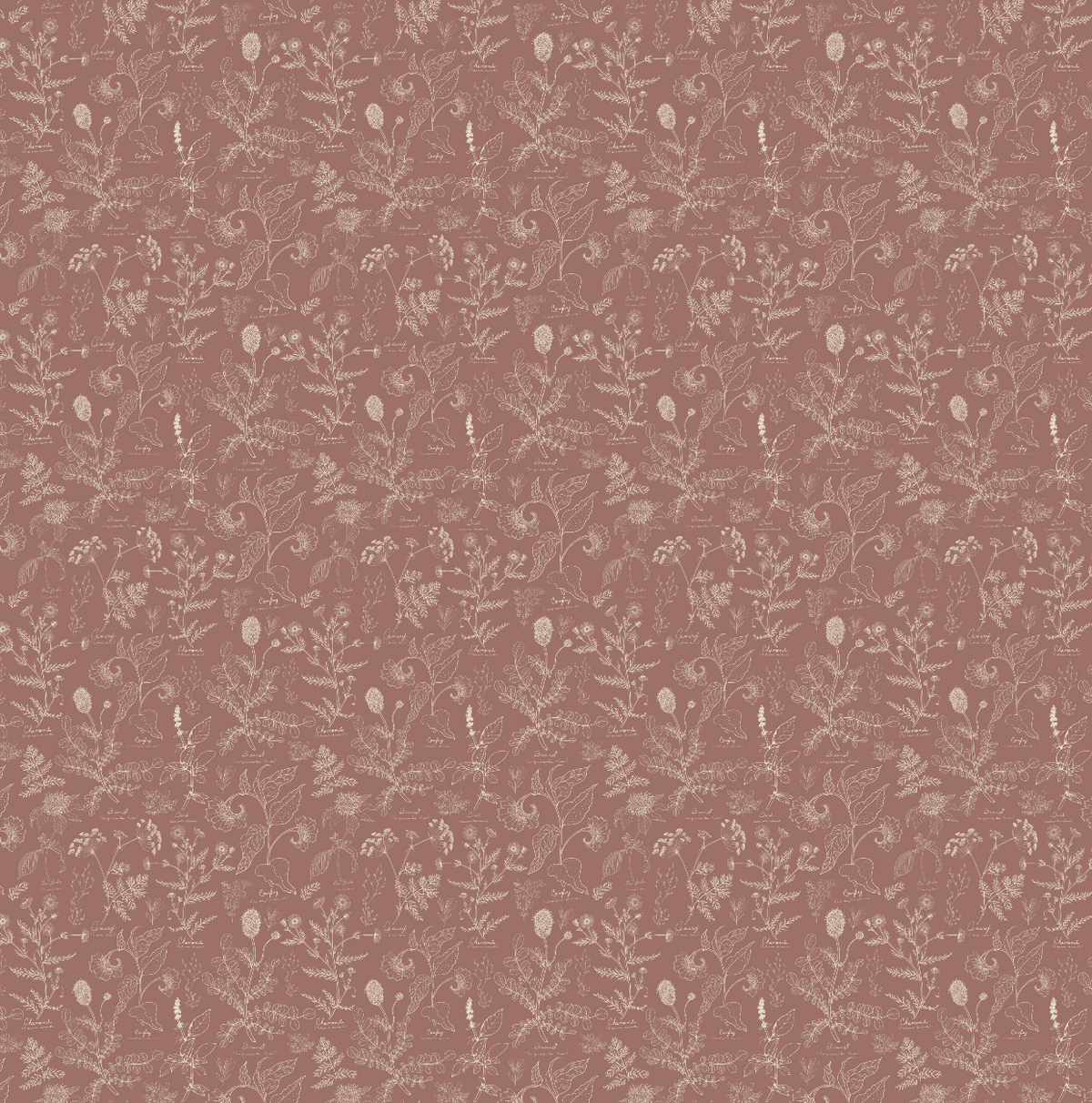 Caraway Wallpaper by Danelys Sidron
