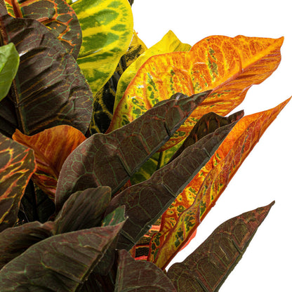 30" Artificial Croton Real Touch Potted Plant