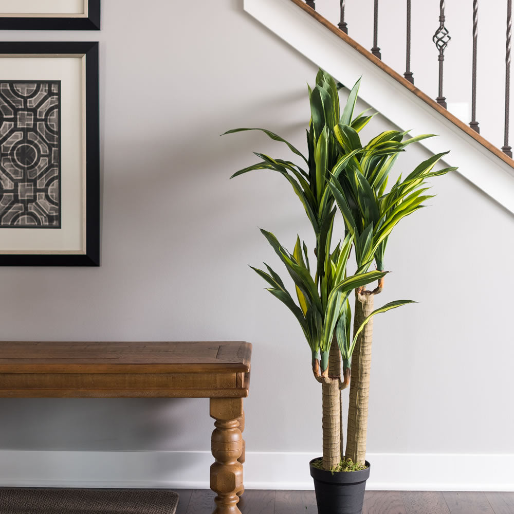 52" Artificial Potted Green and Yellow Real Touch Dracaena Tree