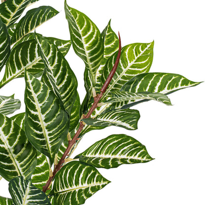 35" Artificial Green Real Touch Zebra Plant
