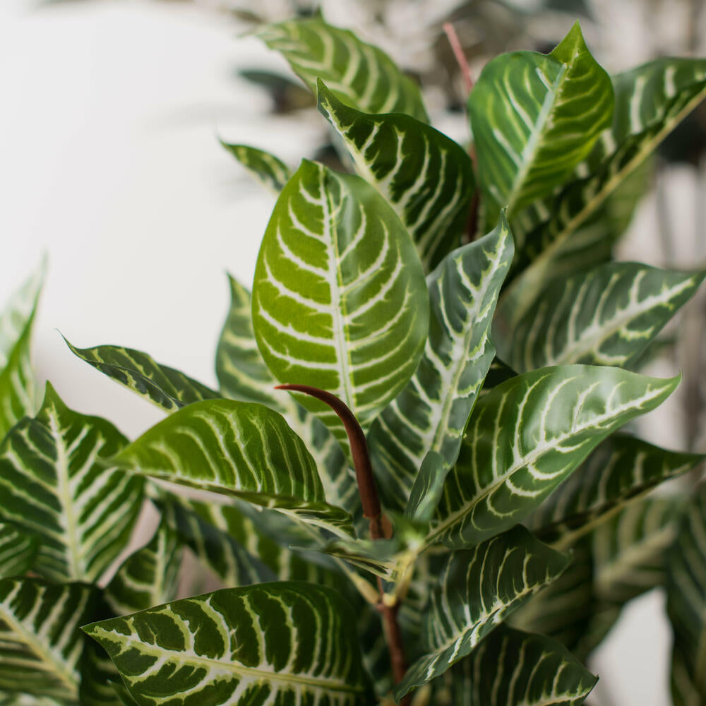 35" Artificial Green Real Touch Zebra Plant