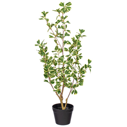 36" Artificial Variegated Triangle Ficus Potted