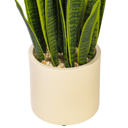 Green Yellow Sansevieria Snake Potted