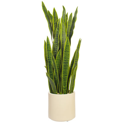 Green Sansevieria Snake Potted
