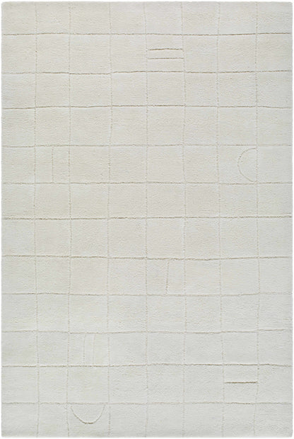 Tuuka Silver Beige Area Rug - Clearance