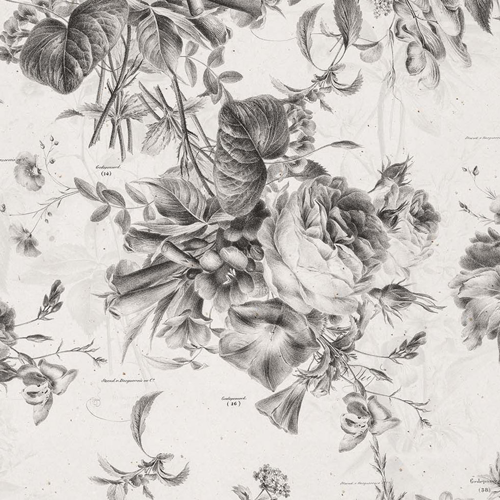 Daphne Wallpaper - 8 FT H X 26.9 FT W P&amp;S